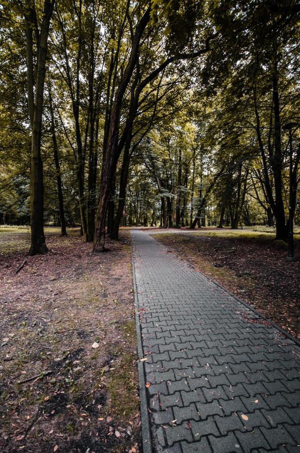Apartament Deluxe Arcon Siemianowice Śląskie Dış mekan fotoğraf